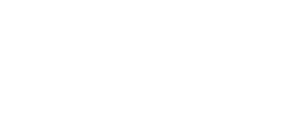 SSAEE Logo